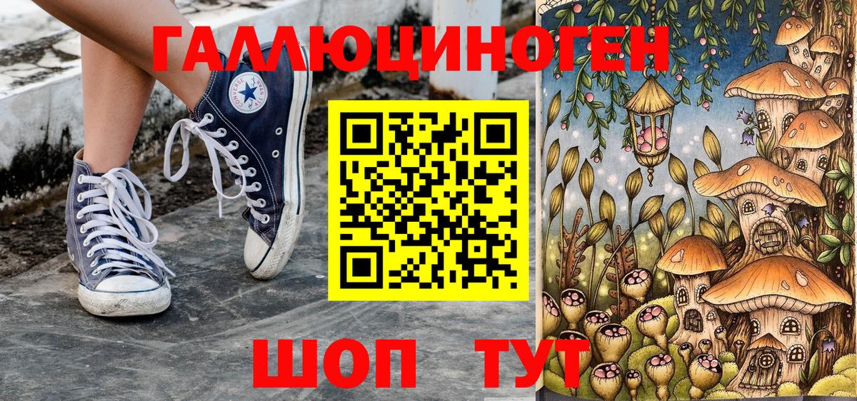 Псилоцибиновые грибы Psilocybine cubensis  Псилоцибиновые грибы прущие грибы  Владимир  Вход с VPN 