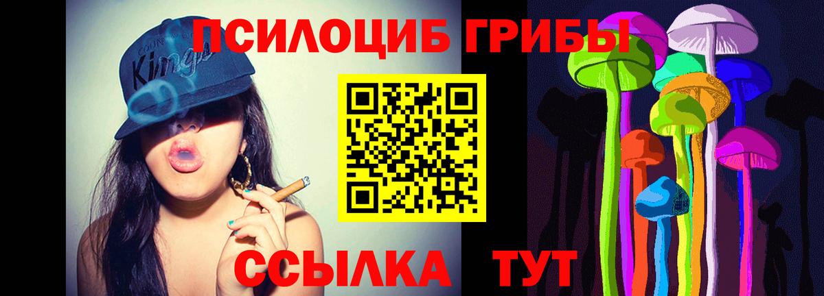 Галлюциногенные грибы ЛСД Владимир