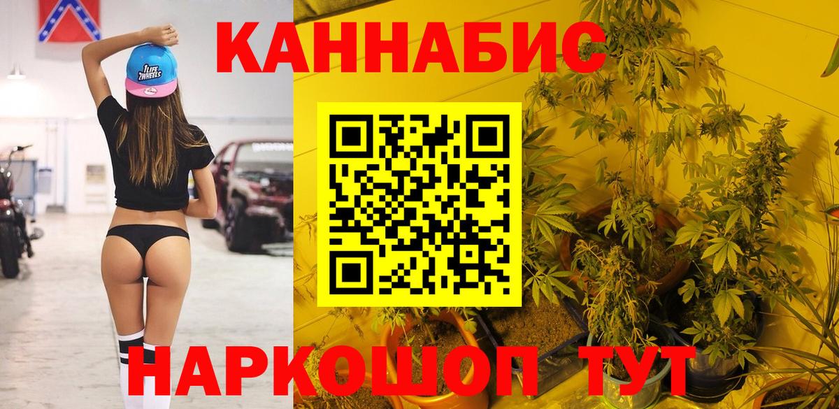 Владимир  Канабис планчик  Марихуана индика  Бошки Шишки марихуана  Вход с VPN 
